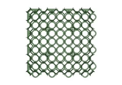 Kratka Stella Green